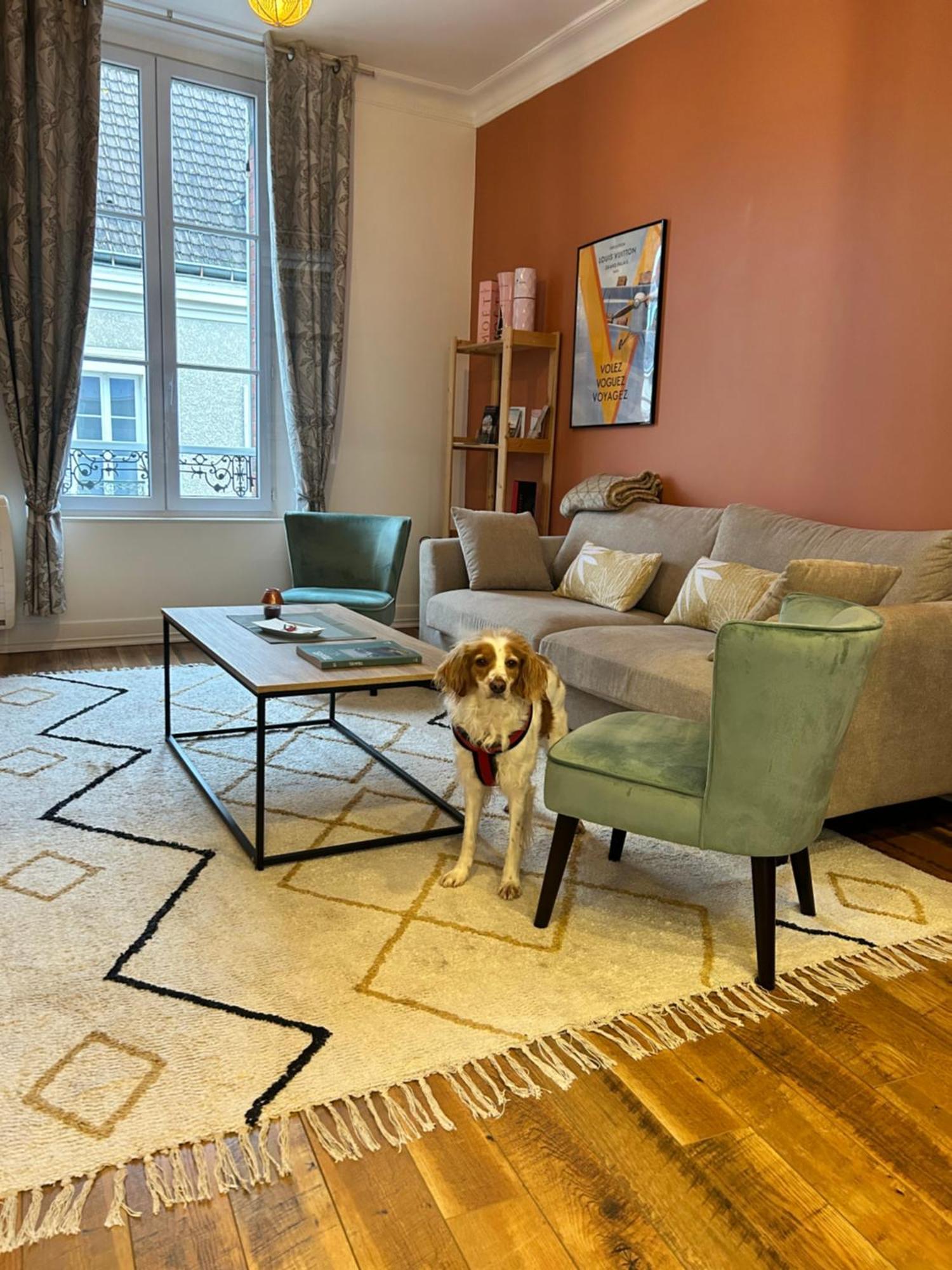 Appartement Chic Et Cosy Épernay Buitenkant foto